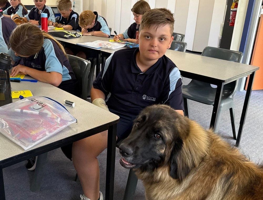 Why teaching’s gone to the dogs at Loch primary post image