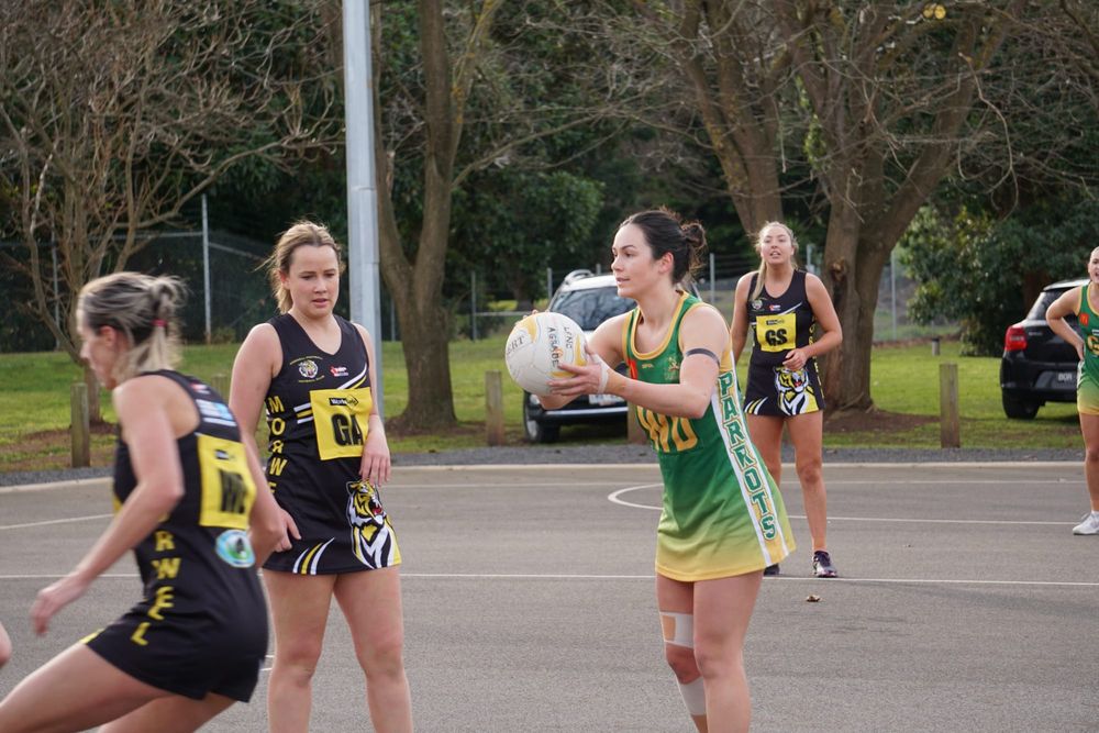 Parrots and Power ready themselves for finals post image
