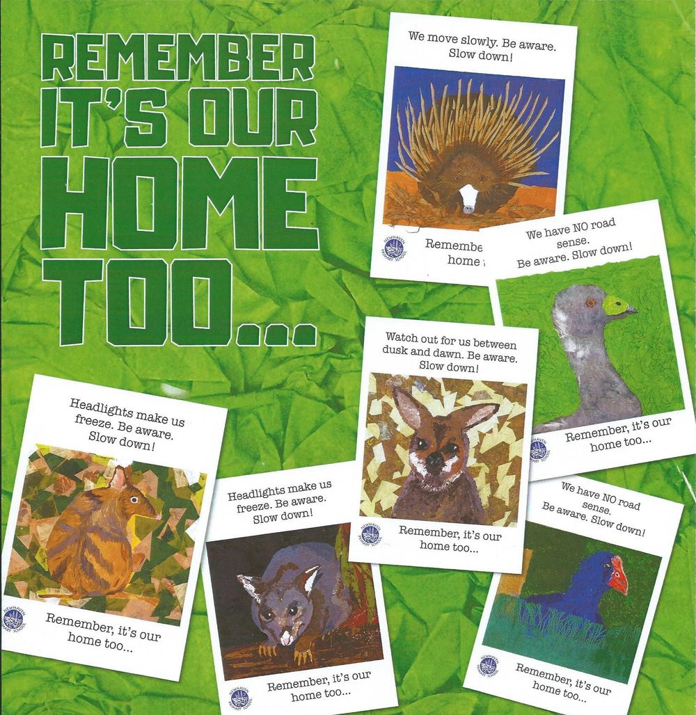 Postergate: How Council is killing community involvement at Berninneit post image