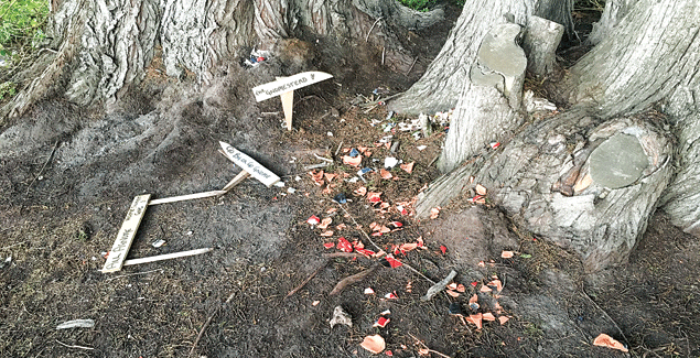 Kilcunda community fed up with recurring thefts post image