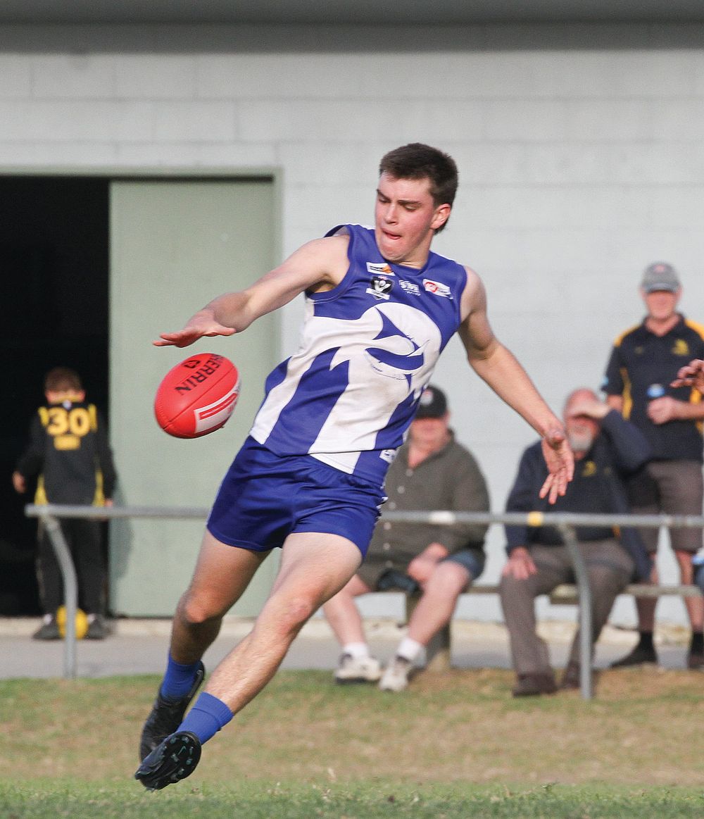 Sharks sink struggling Hawks post image