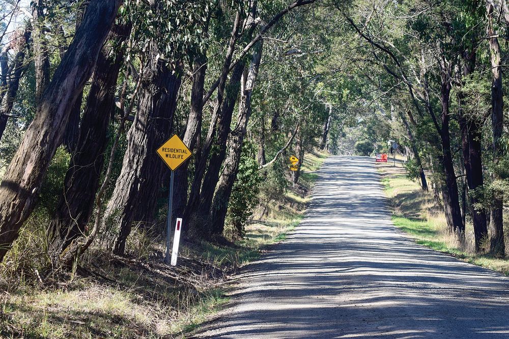 Planning Minister calls in the wrong project, they say post image