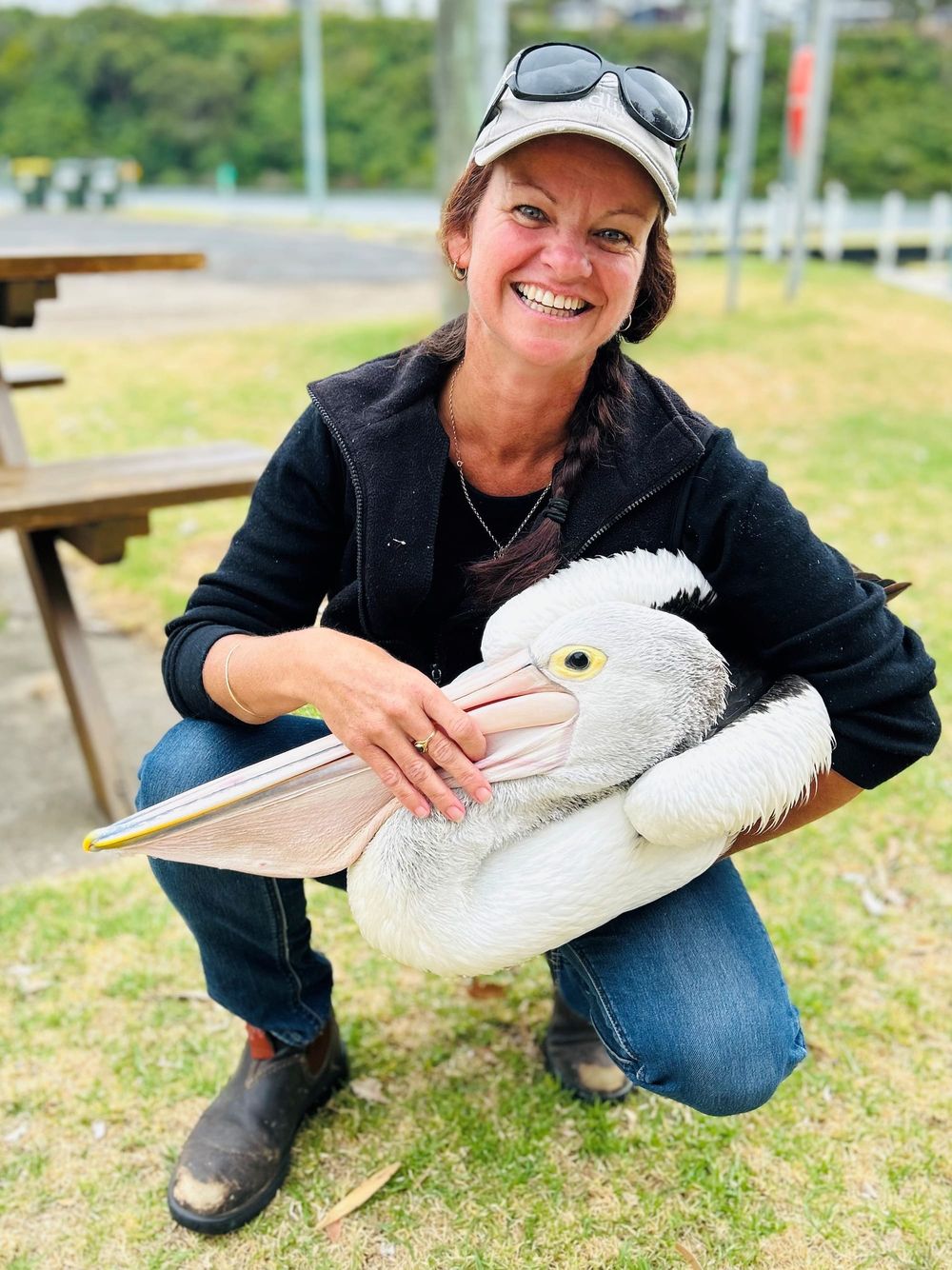 Last day to register for the Great Pelican Count this Sunday post image
