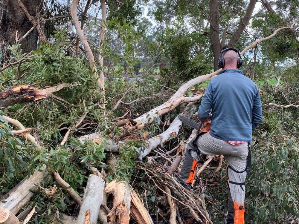 Free green waste but only South Gippslanders! post image