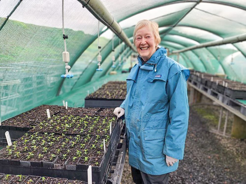 Margaret’s enduring commitment to the environment acknowledged post image