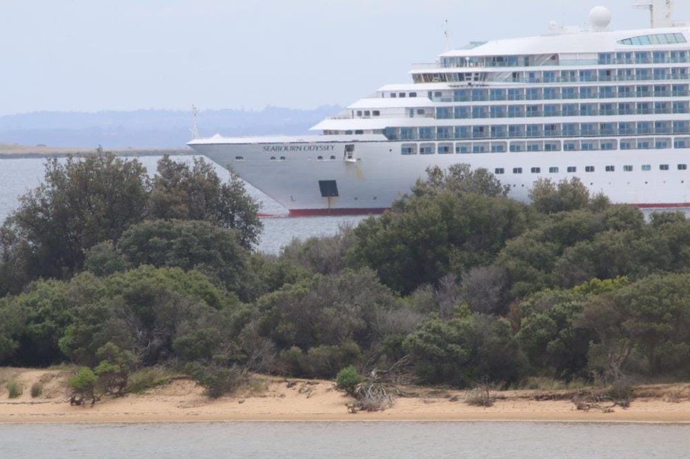 Phillip Island cruise ships on health watch post image