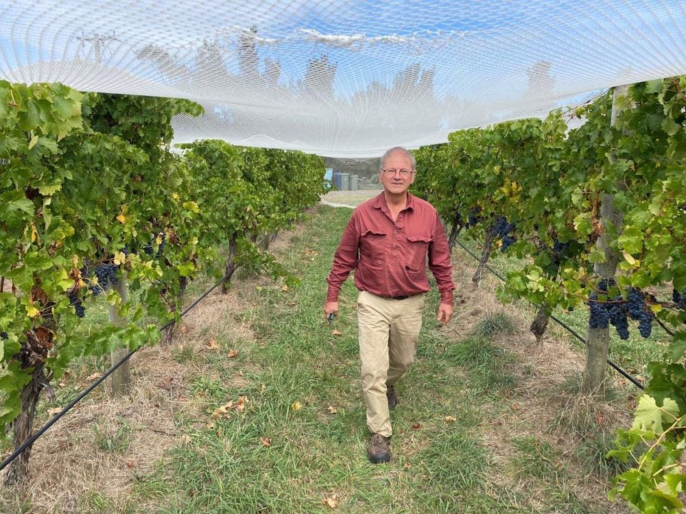 Purple Hen best of the best at Gippsland wine awards post image