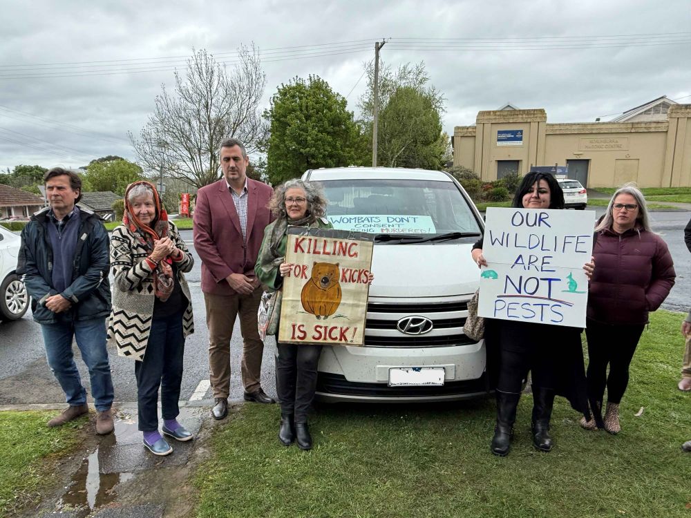 Protesters turn out to hear alleged wombat cruelty case post image