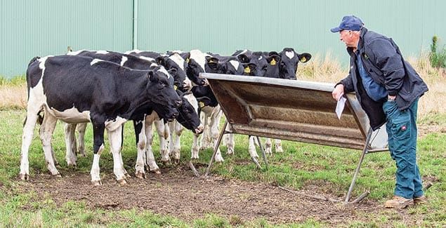 Genomic game changer for Camperdown farmer post image