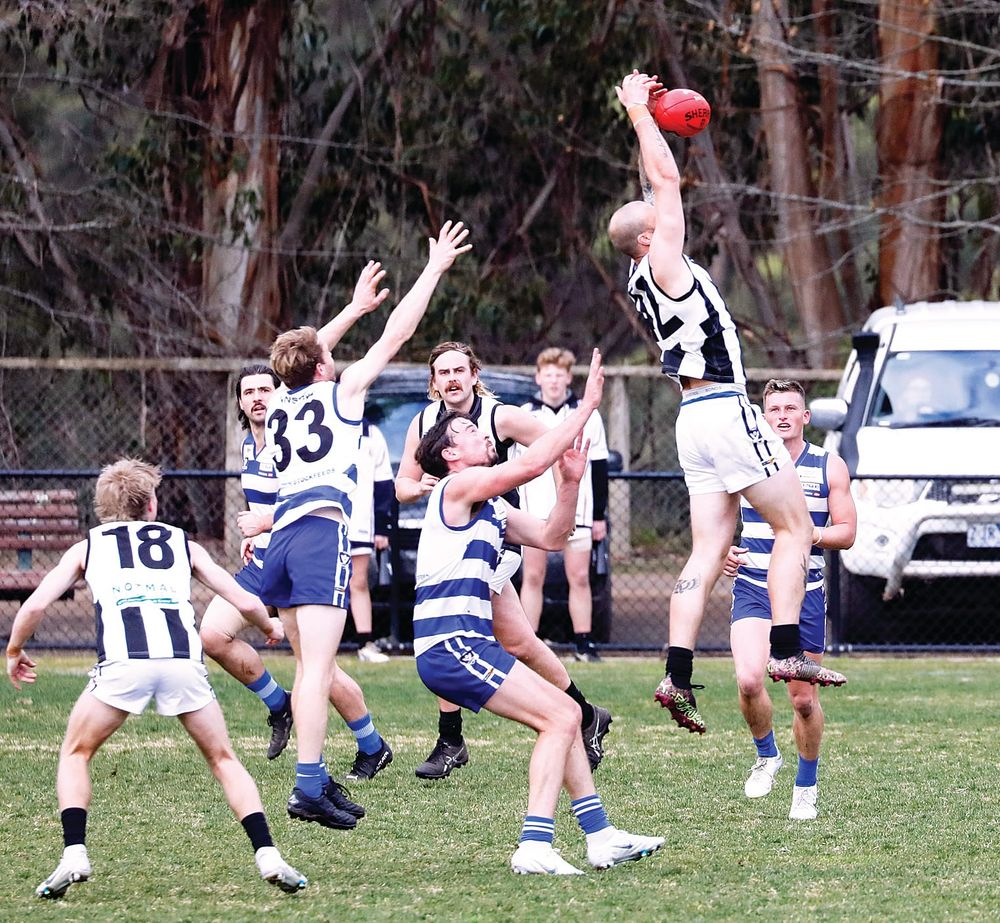 Neerim outclasses Poowong post image