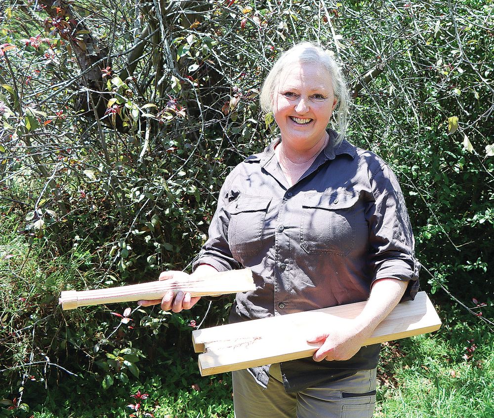 Clare’s batting a new future for women in cricket post image