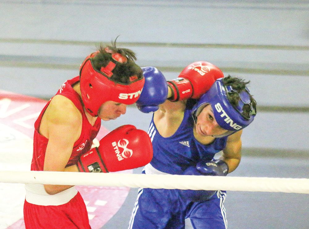 Boxers converge for Corner Inlet Cup 5 post image