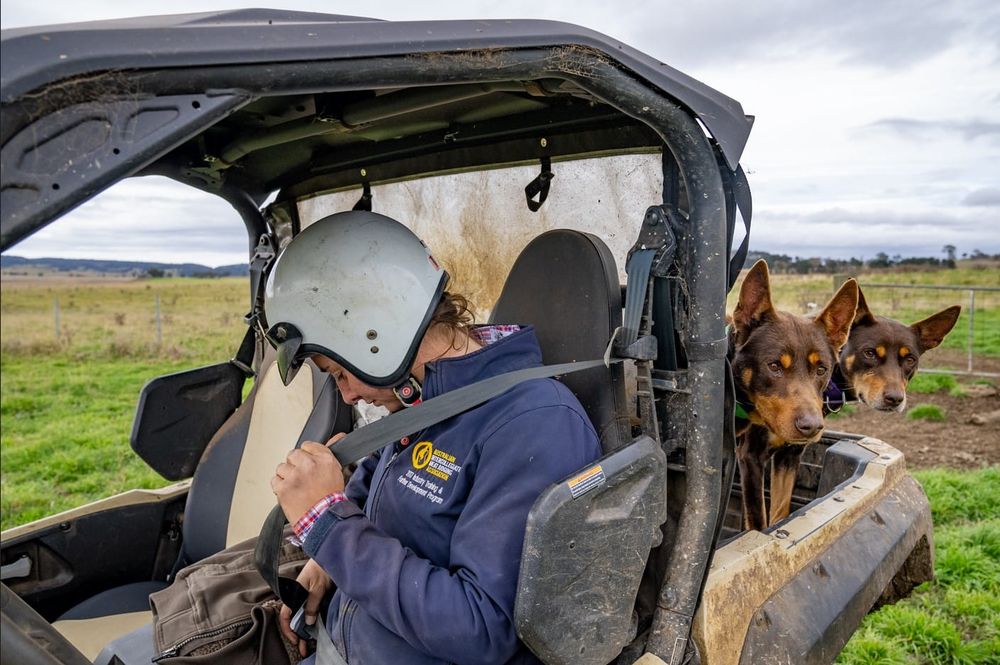 Making our farms safer with a focus on mental well-being post image