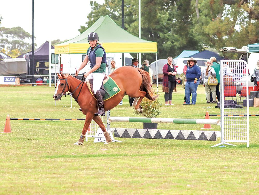 Foster Show an action packed day post image