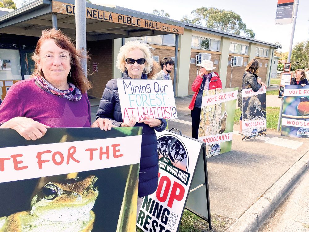 Candidates hear passionate Western Port Woodlands’ plea post image