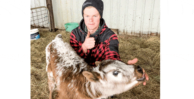 Bright future for young farmer post image