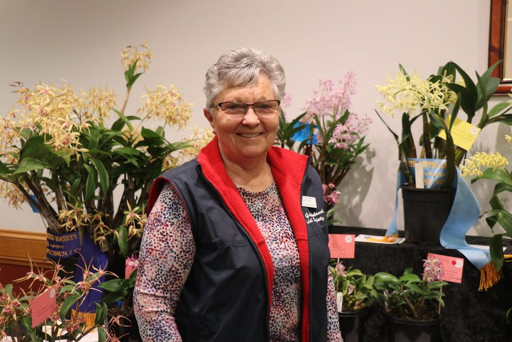 South Gippsland Orchid Society presents the 33rd annual orchid show post image