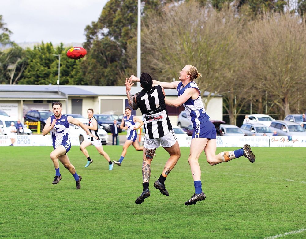 Mighty Sharks go down to Magpies post image