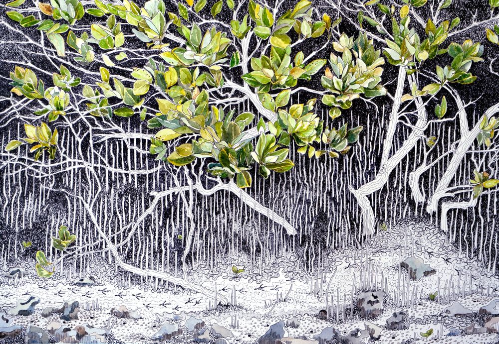 Toora artist a finalist in National Capital Art Prize post image