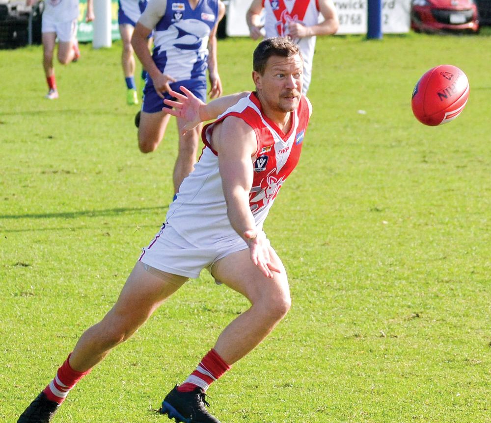 Disappointing performance for the Sharks post image