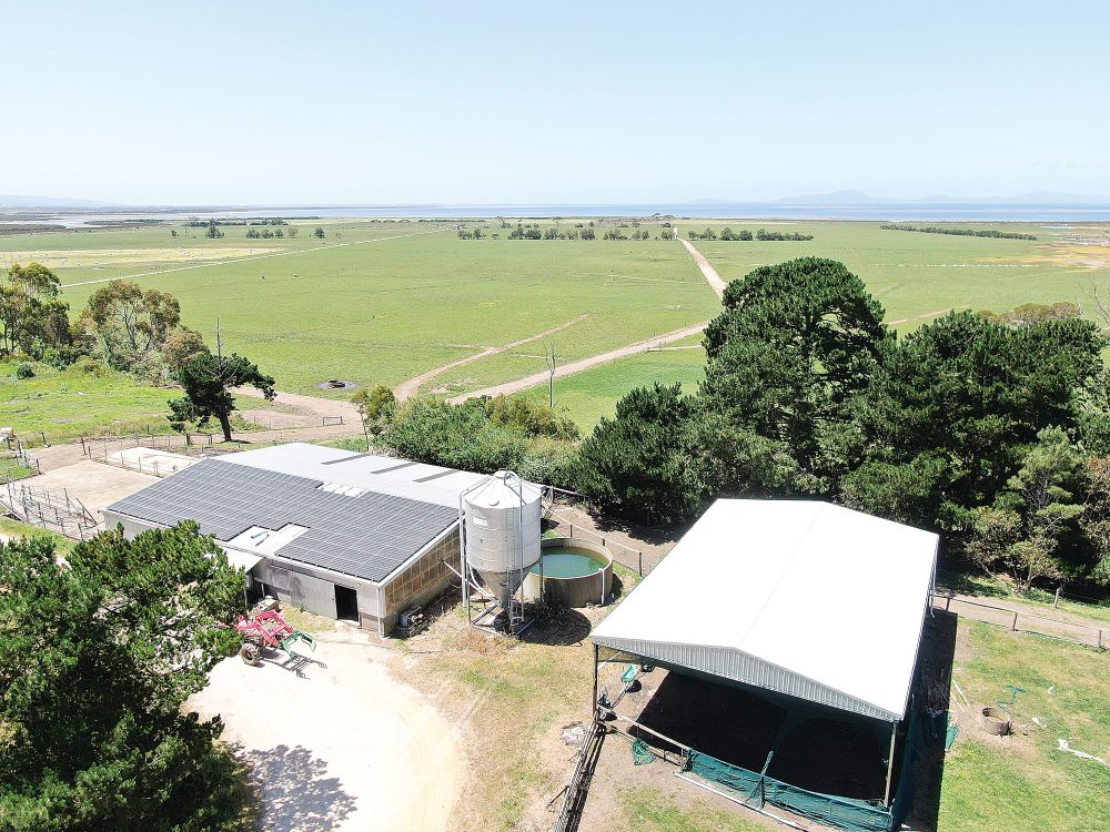 “Kooratong” ocean frontage dairy/grazing property post image