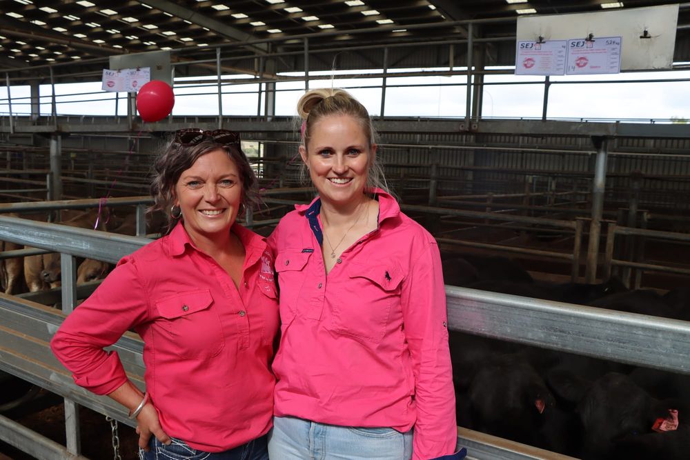 Storm cancels the OMK Pink Stumps Day post image