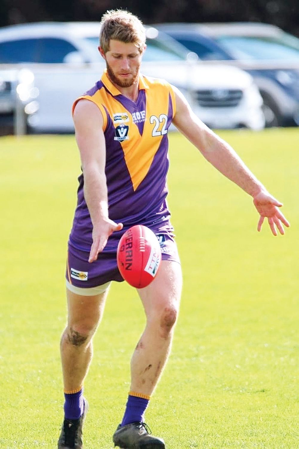 Tigers continue to defy the odds post image