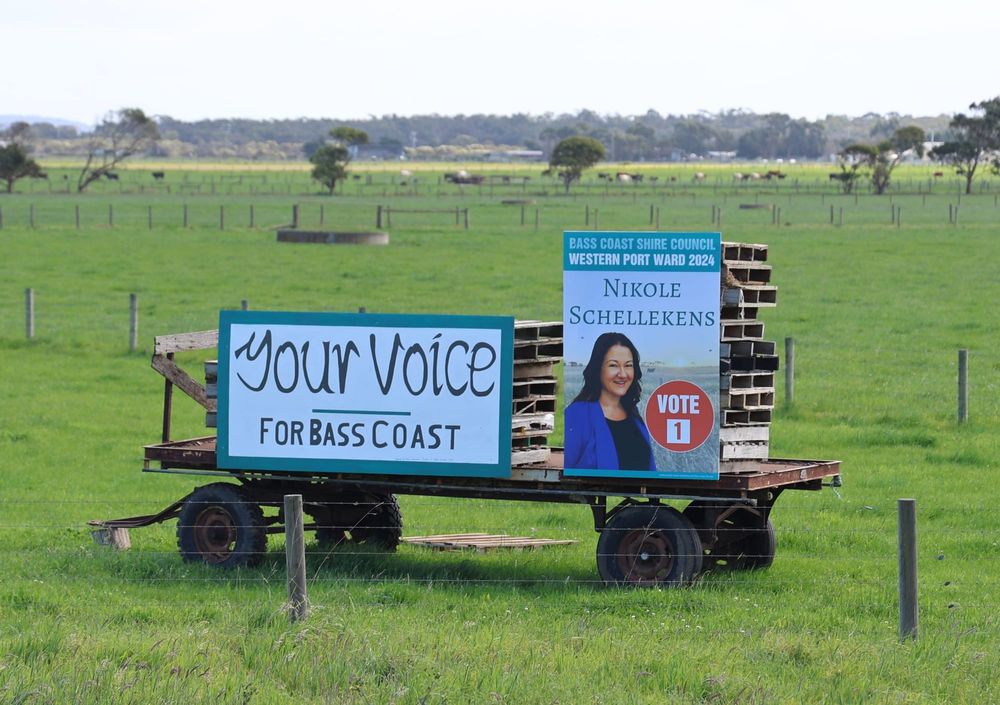 Council elections voting deadline looms post image