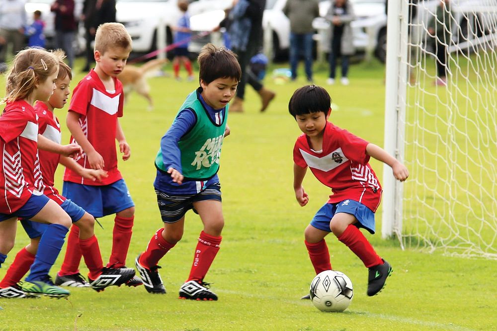 Wonthaggi United Soccer results post image