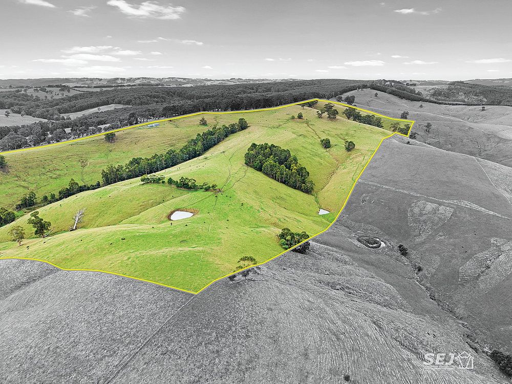 Magnificent views and 167 acres of grazing land post image