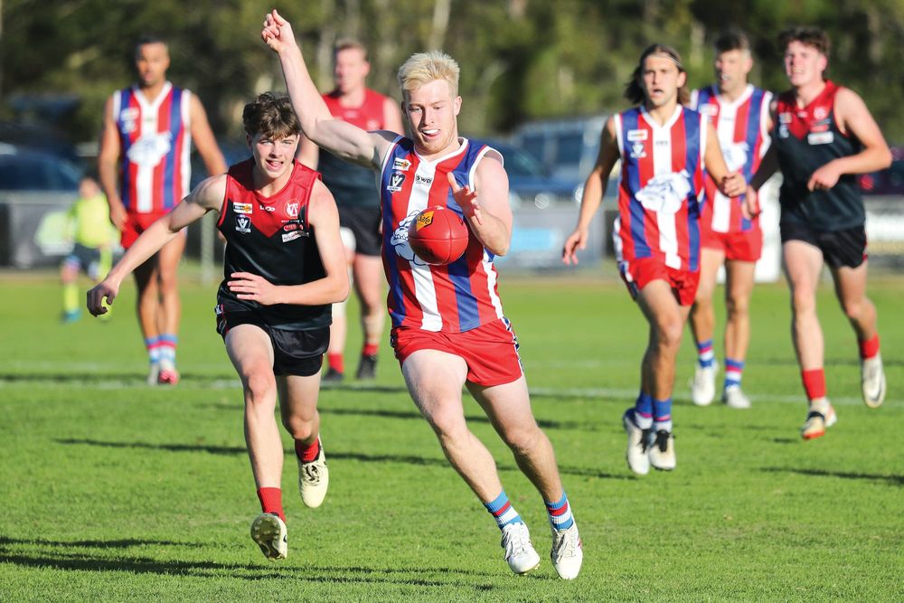 Bulldogs dig deep to claim thrilling win post image