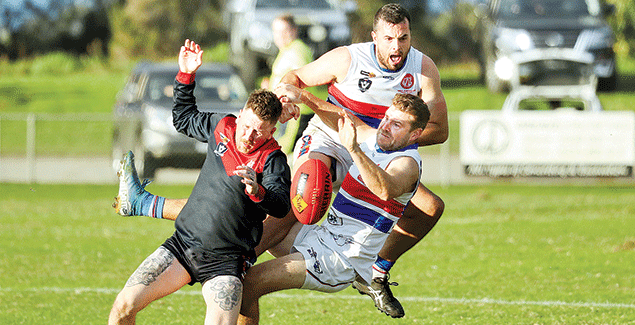 Bulldogs run out 46-point winners post image