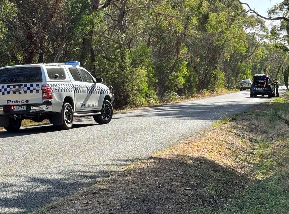 Driver so drunk he didn’t know he’d hit someone post image