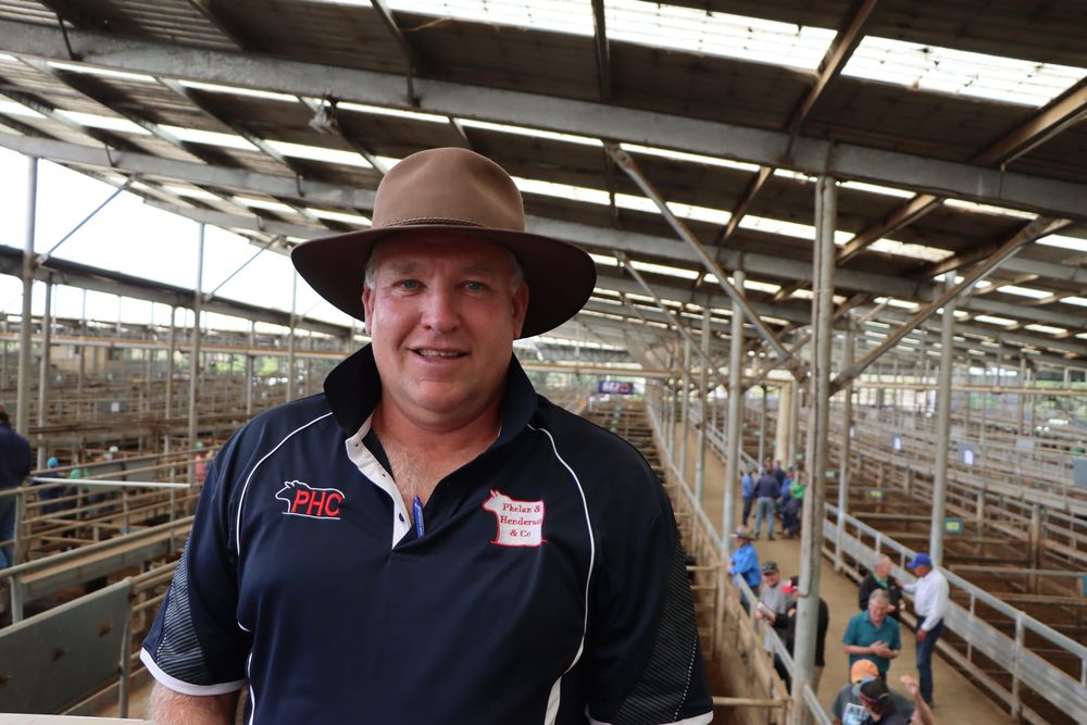 Market keeps impressing post image