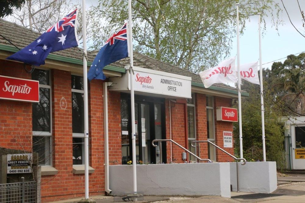 Saputo opens milk supply bidding with $8-$8.15 post image