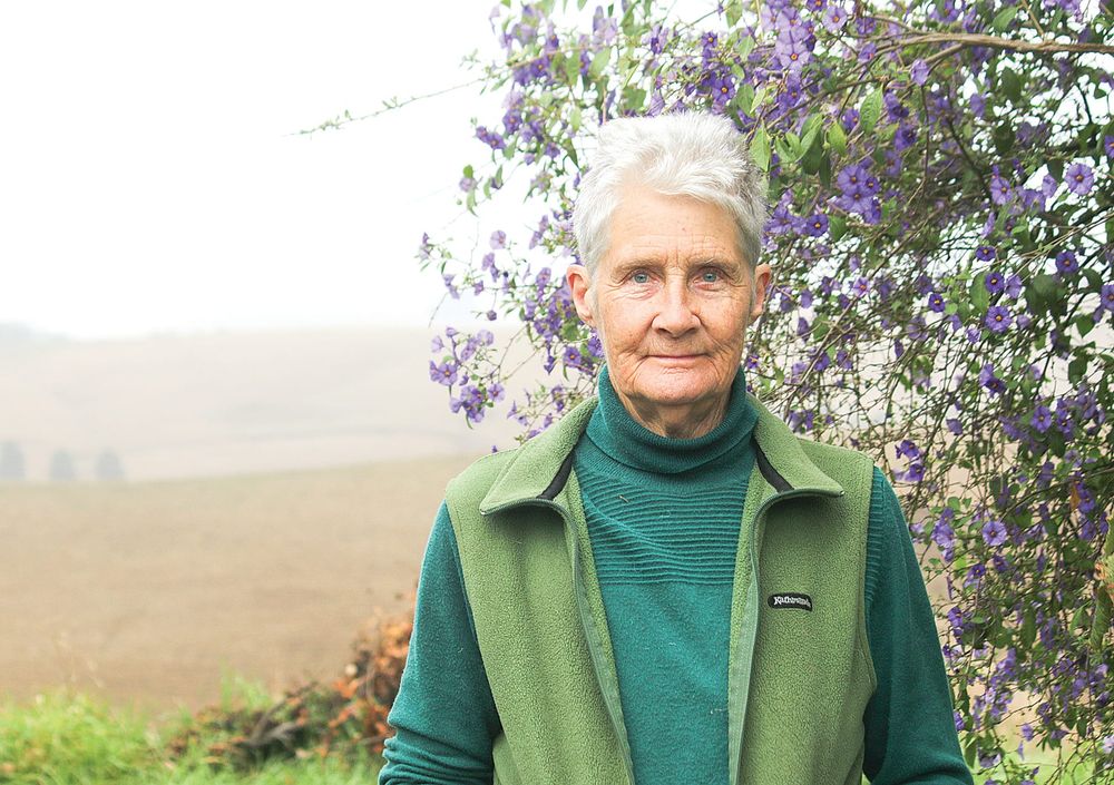 Country Cousins with Christine Webb post image