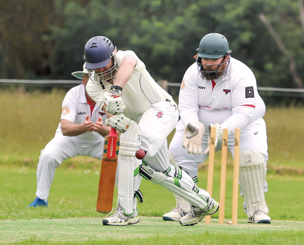 Stingrays strangle Sharks on the road post image