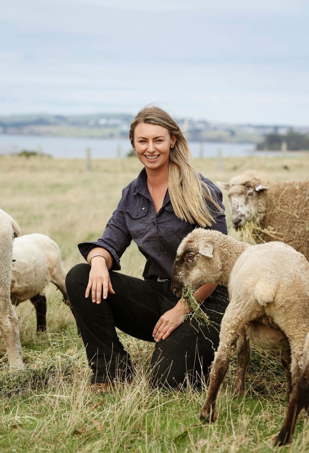Shearing at the Olympics? post image