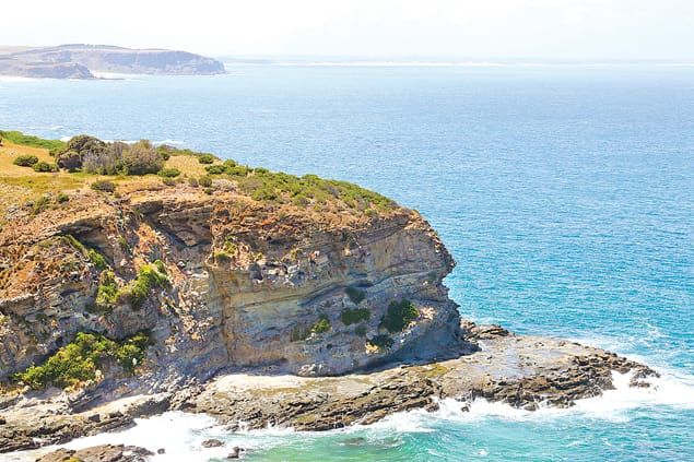 Life jackets could be mandatory for San Remo rock fishers post image
