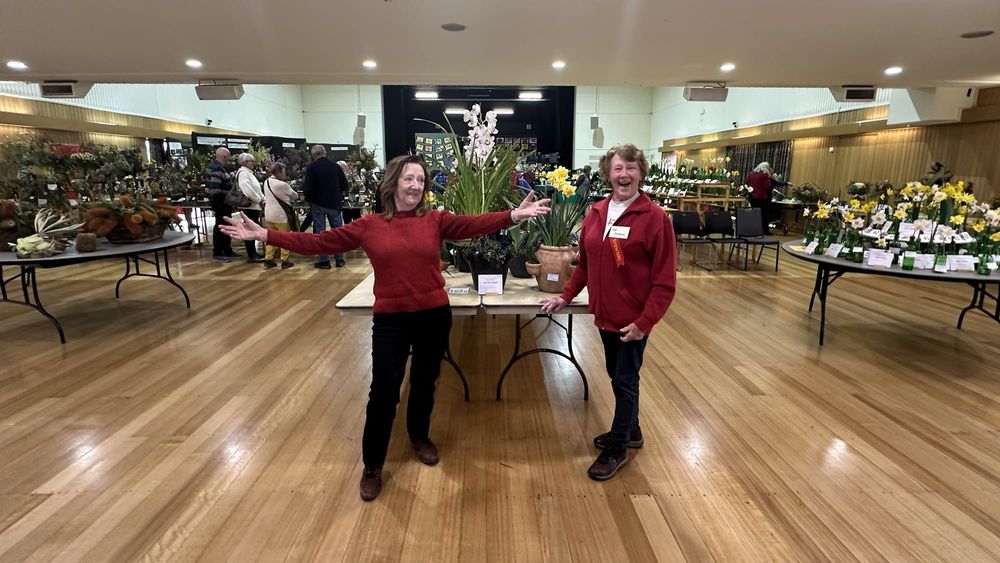 The Leongatha Daffodil and Floral Show is open post image