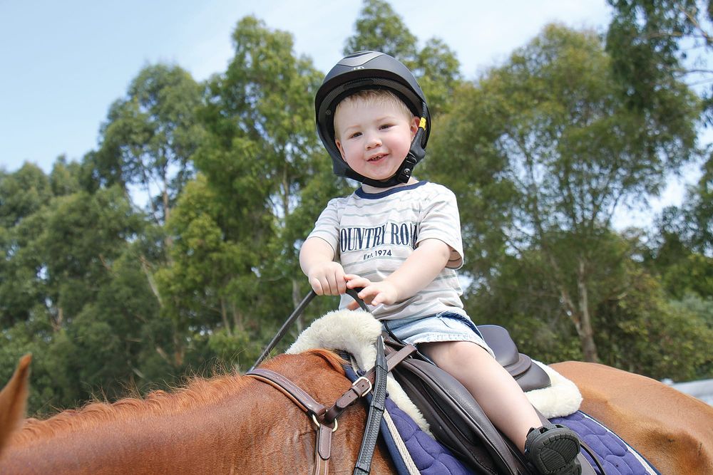 New dog high jump record at the Foster Show post image