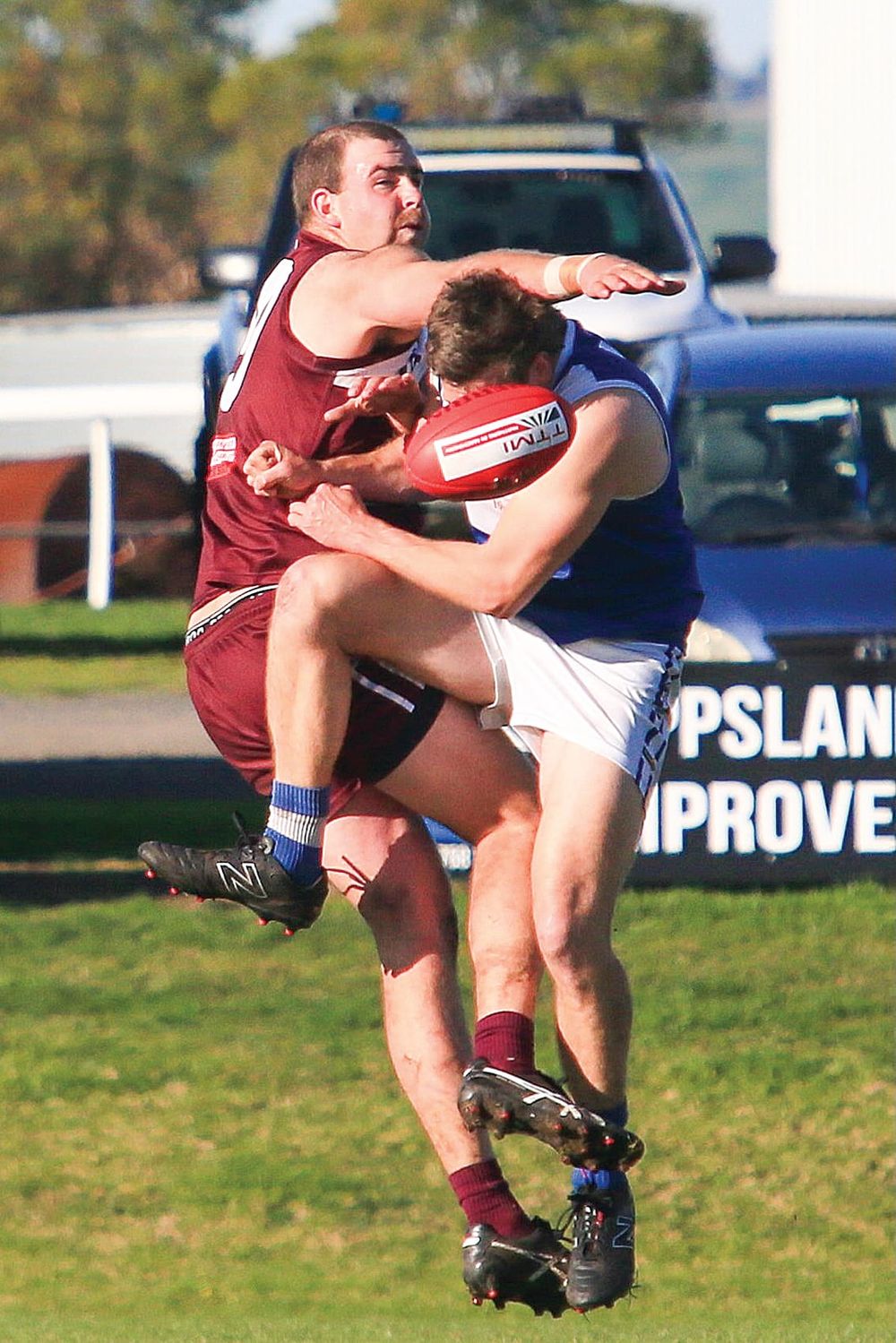 Close but not enough for the Lions post image