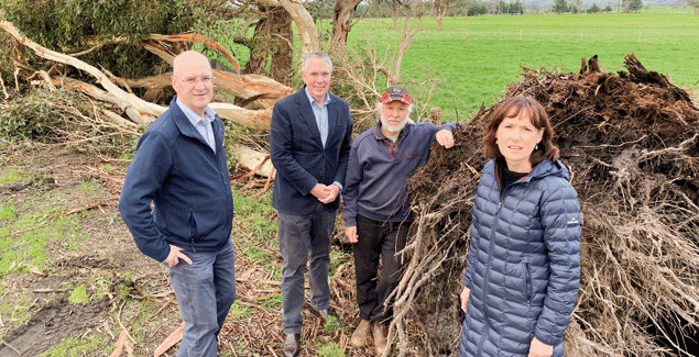 Call for moratorium on collecting firewood post image