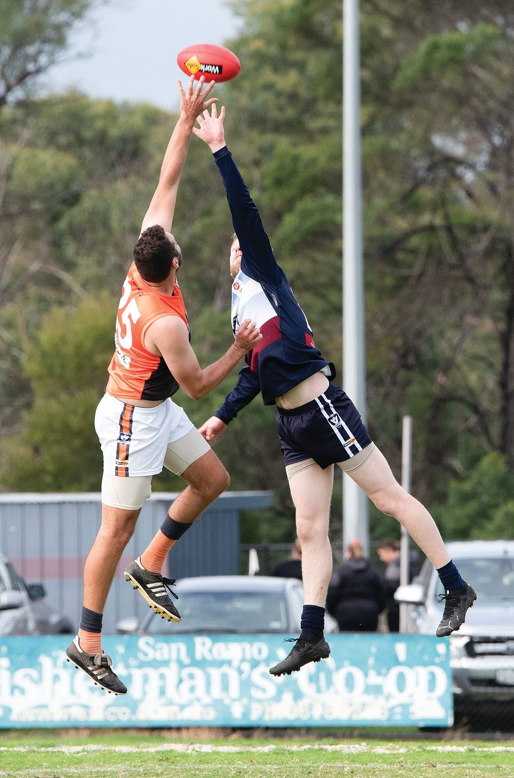 Panthers huge first term helps down Giants post image