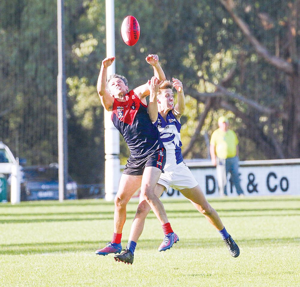 Demons bounce back to winners list post image