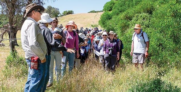 Exploring our flora and fauna post image
