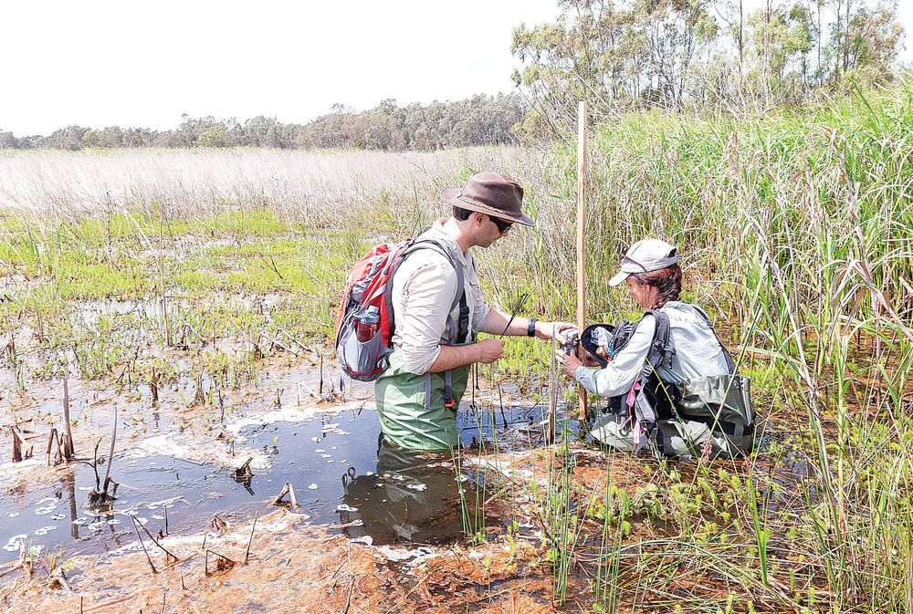 Happy World Wetlands Day with the CMA post image