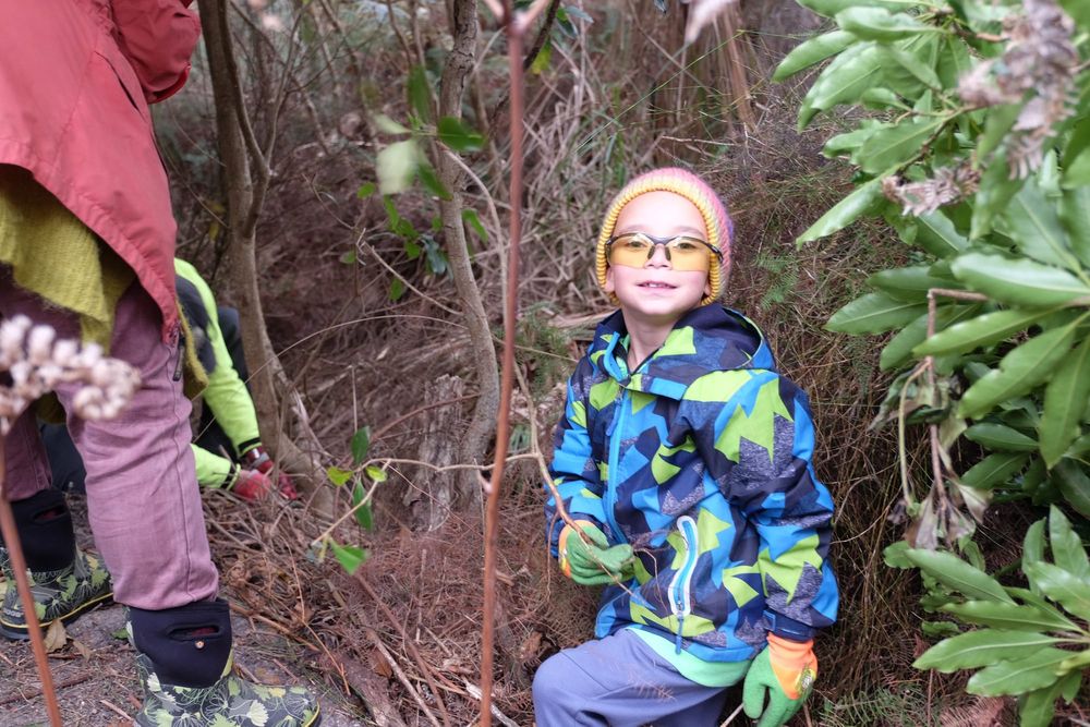 Tarwin Landcare control pittosporum in Cape Liptrap post image