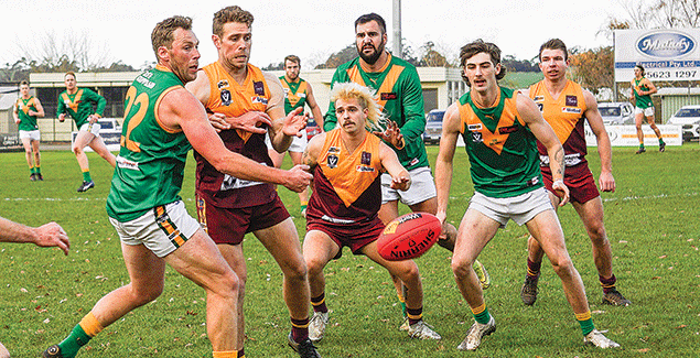 Parrots demolish Hawks post image