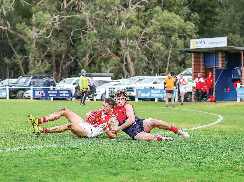 Roos survive Demon scare in King’s Birthday thriller post image